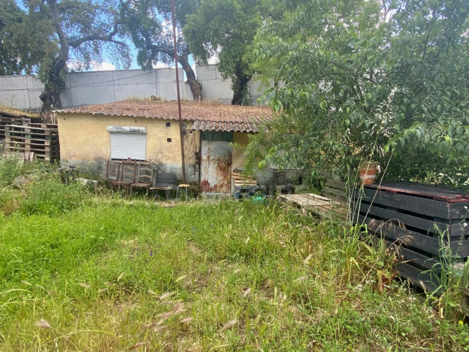Quinta T1 para Venda em Castelo Branco Foto 17