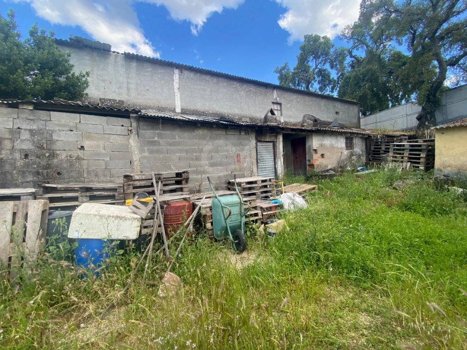 Quinta T1 para Venda em Castelo Branco Foto 18