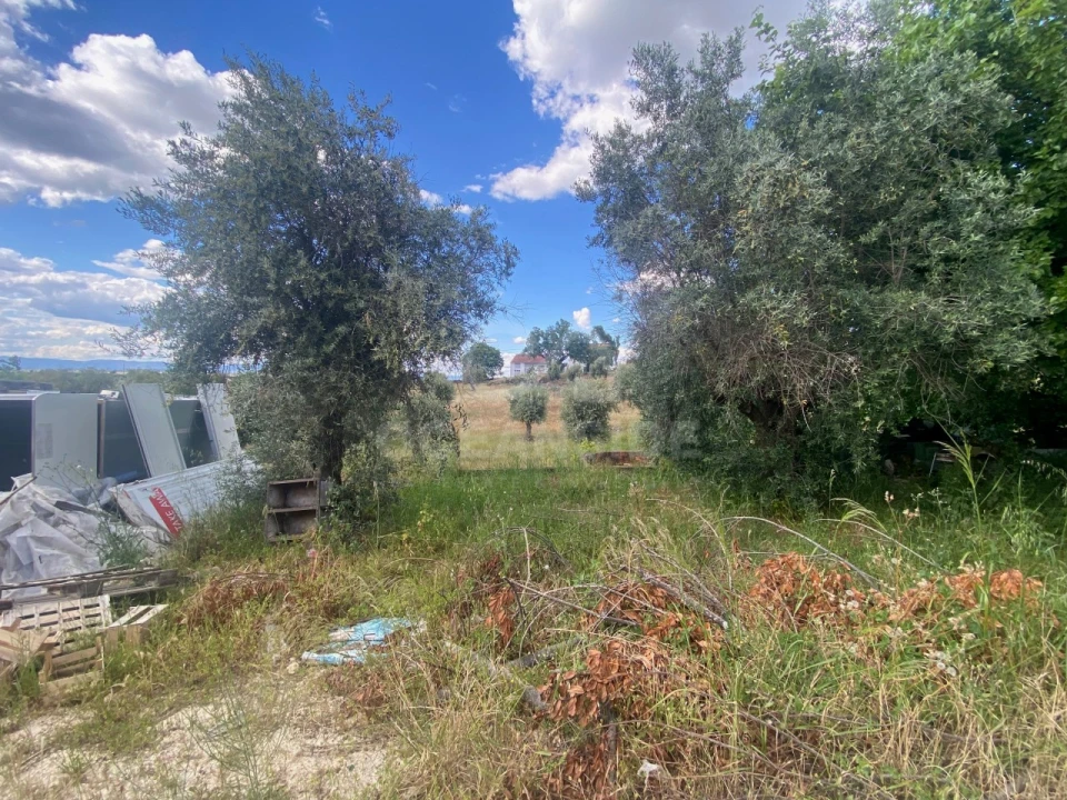 Quinta T1 para Venda em Castelo Branco Foto 22