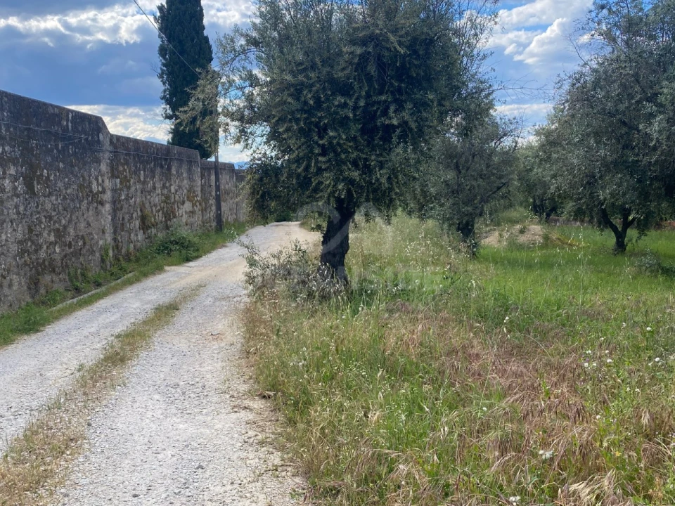 Quinta T1 para Venda em Castelo Branco Foto 27