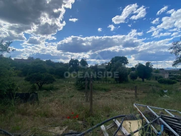 Quinta T1 para Venda em Castelo Branco