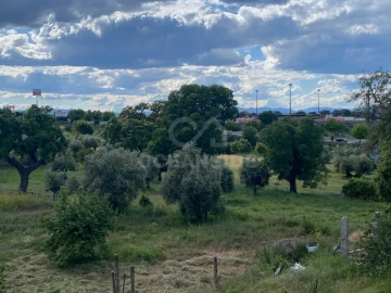Quinta T1 para Venda em Castelo Branco