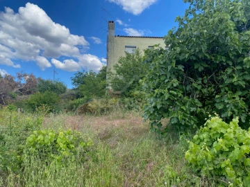 Quinta T1 para Venda em Castelo Branco