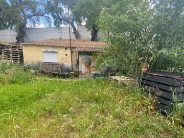 Quinta T1 para Venda em Castelo Branco