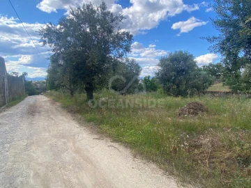 Quinta T1 para Venda em Castelo Branco