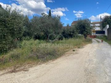 Quinta T1 para Venda em Castelo Branco