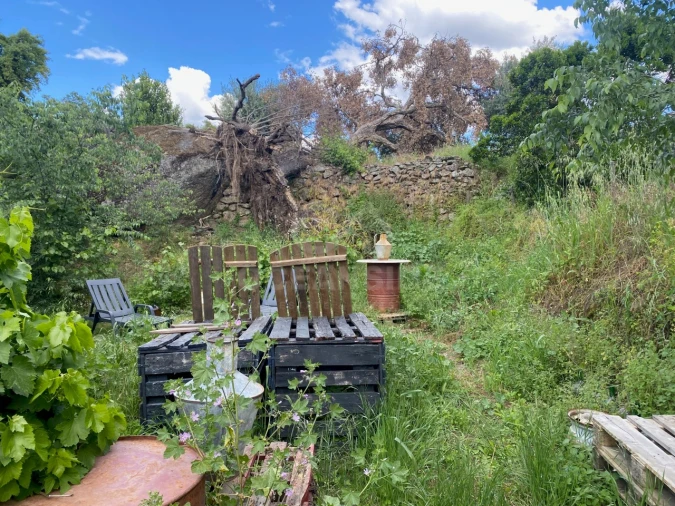 Quinta T1 para Venda em Castelo Branco Foto 8