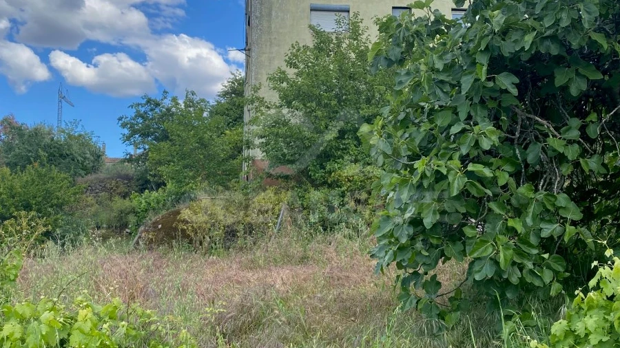 Quinta T1 para Venda em Castelo Branco