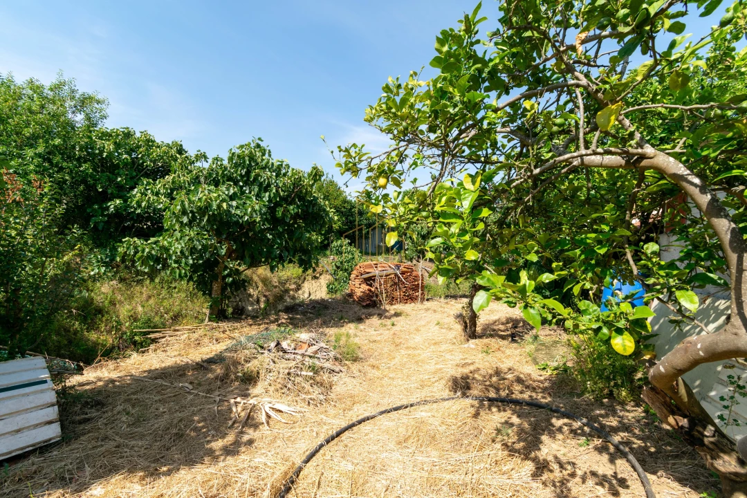 Moradia T2 para Venda em Santa Maria, São Pedro e Matacães Foto 15