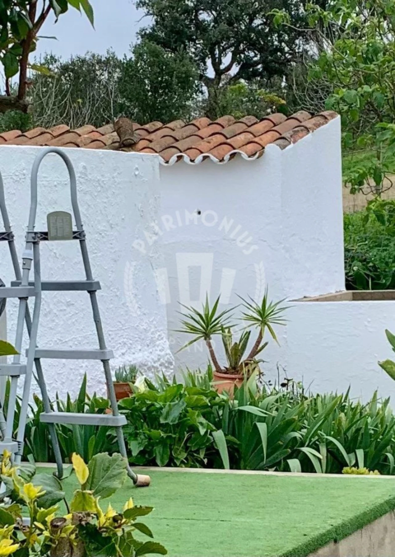 Quinta para Venda em Santiago do Cacém, Santa Cruz e São Bartolomeu da Serra Foto 8