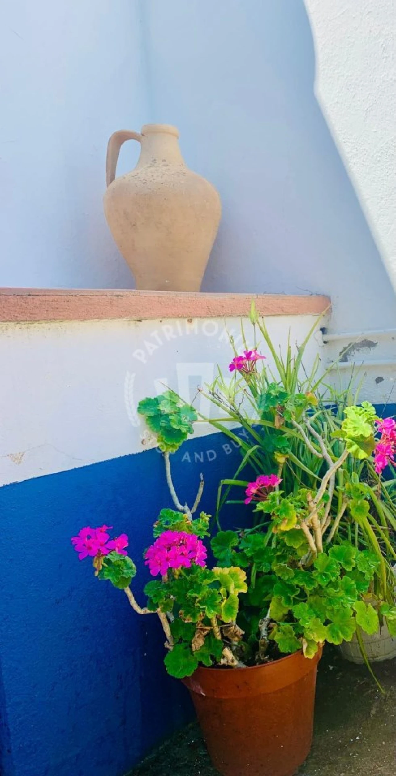 Quinta para Venda em Santiago do Cacém, Santa Cruz e São Bartolomeu da Serra Foto 6