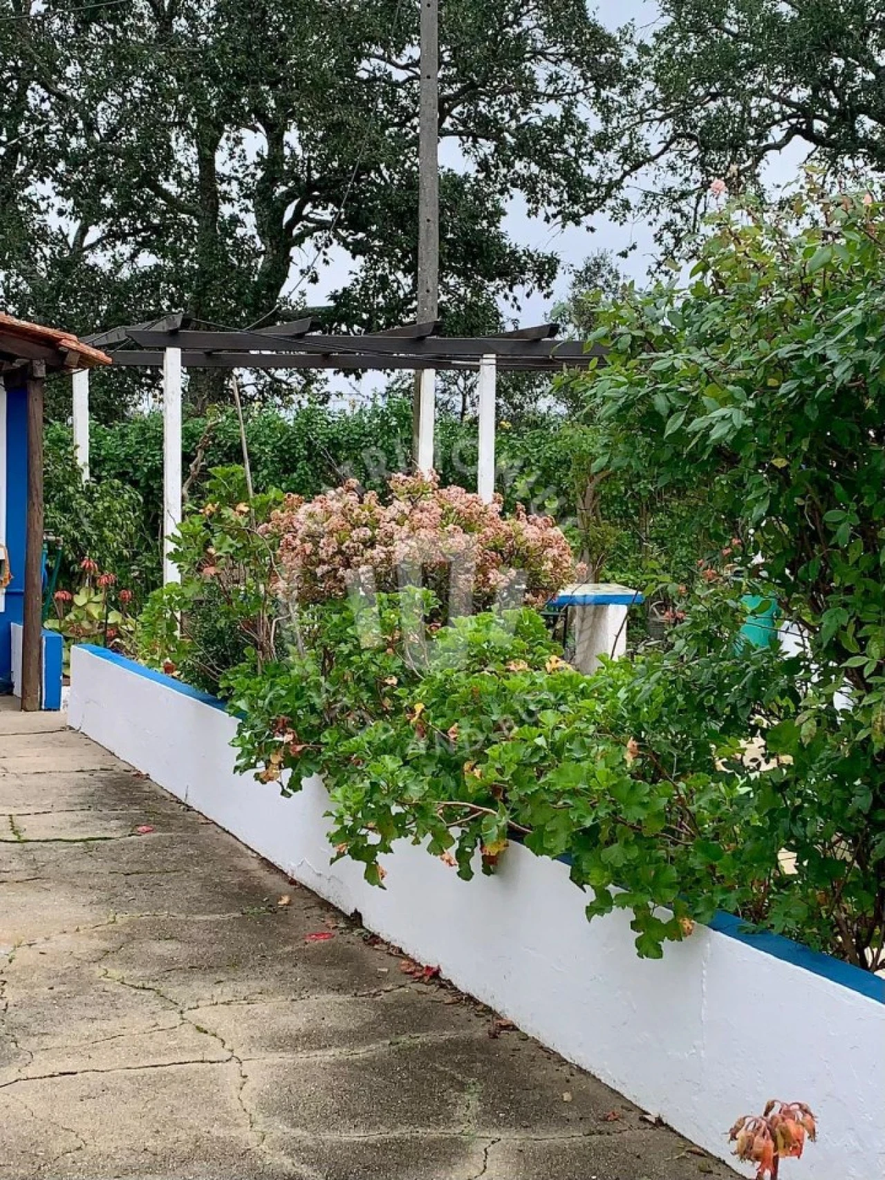 Quinta para Venda em Santiago do Cacém, Santa Cruz e São Bartolomeu da Serra Foto 11