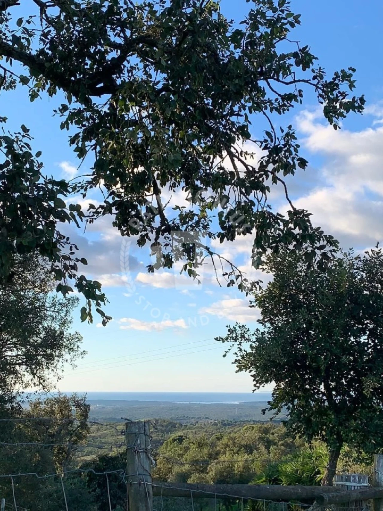 Quinta para Venda em Santiago do Cacém, Santa Cruz e São Bartolomeu da Serra Foto 13
