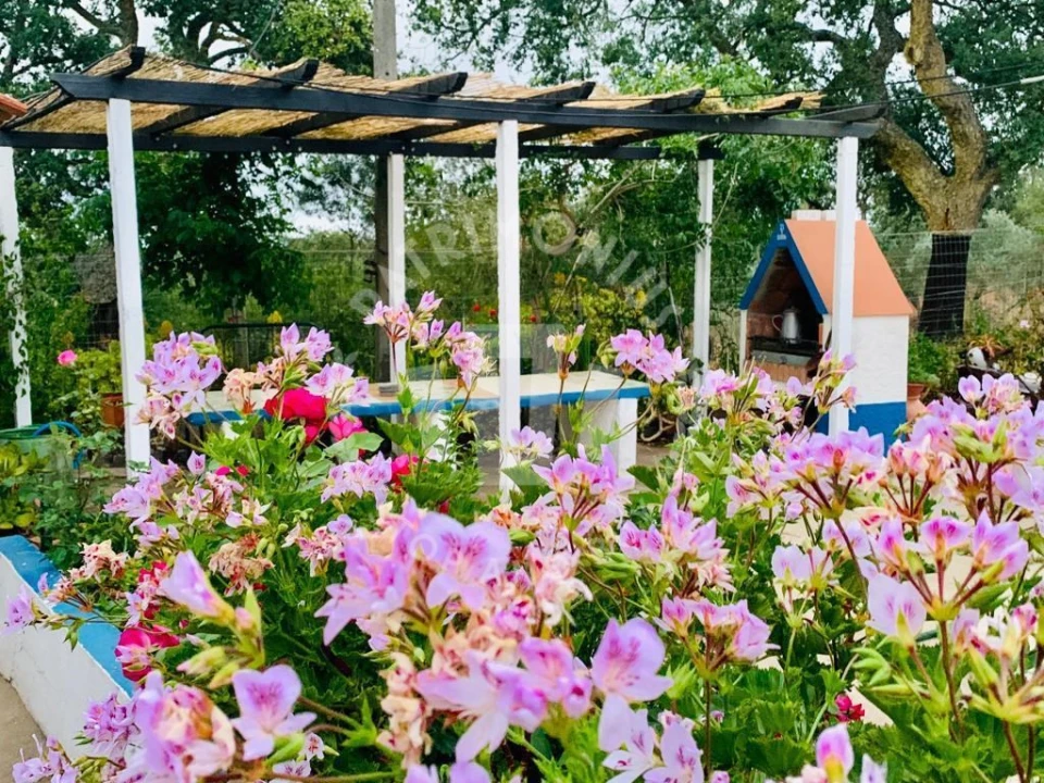 Quinta para Venda em Santiago do Cacém, Santa Cruz e São Bartolomeu da Serra Foto 14