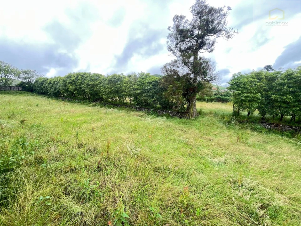 Terreno para Venda em Fajã de Cima Foto 8
