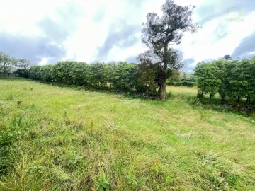 Terreno para Venda em Fajã de Cima