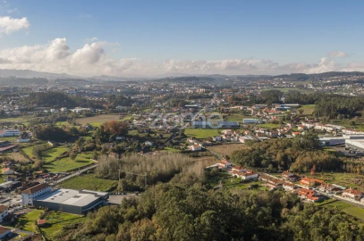 Terreno para Venda em Carvalhosa