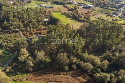 Terreno para Venda em Carvalhosa