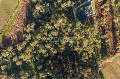 Terreno para Venda em Carvalhosa