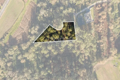 Terreno para Venda em Carvalhosa