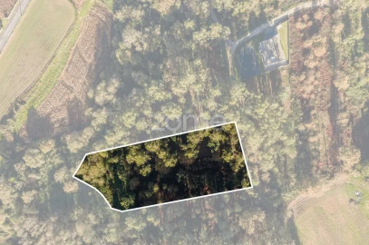 Terreno para Venda em Carvalhosa