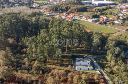 Terreno para Venda em Carvalhosa