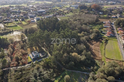 Terreno para Venda em Carvalhosa