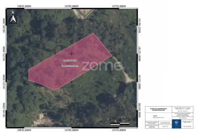 Terreno para Venda em Carvalhosa