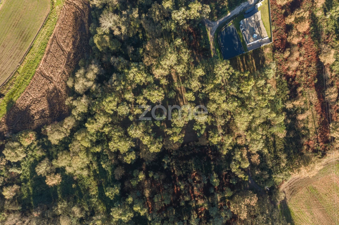 Terreno para Venda em Carvalhosa Foto 13