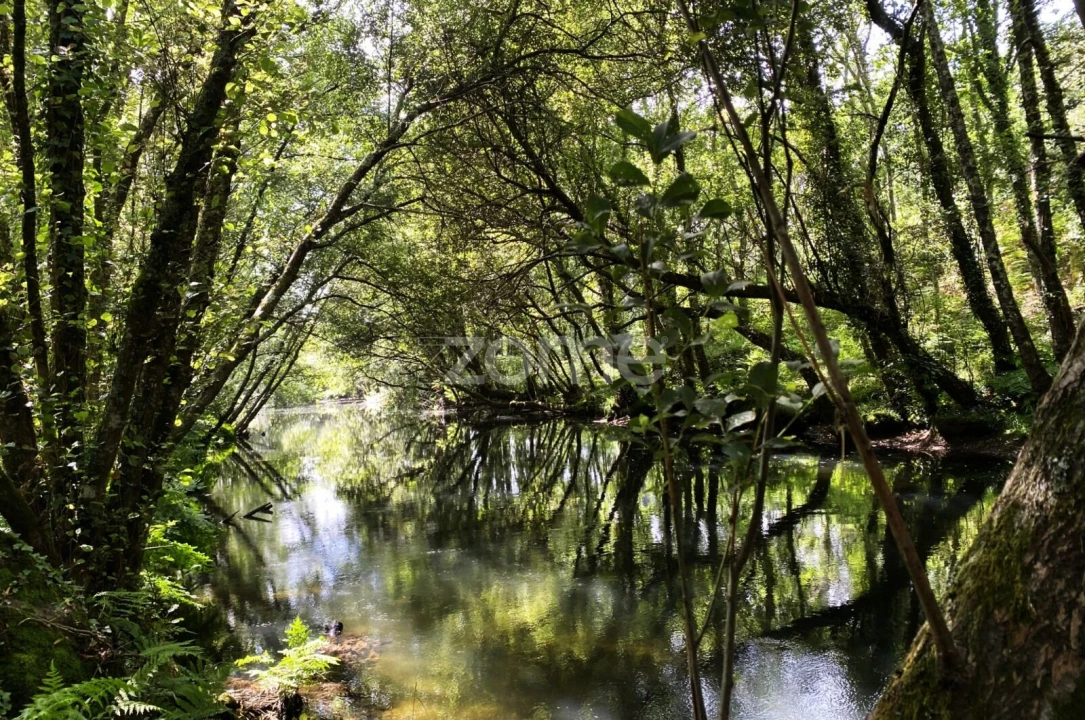 Terreno para Venda em Forjães Foto 10