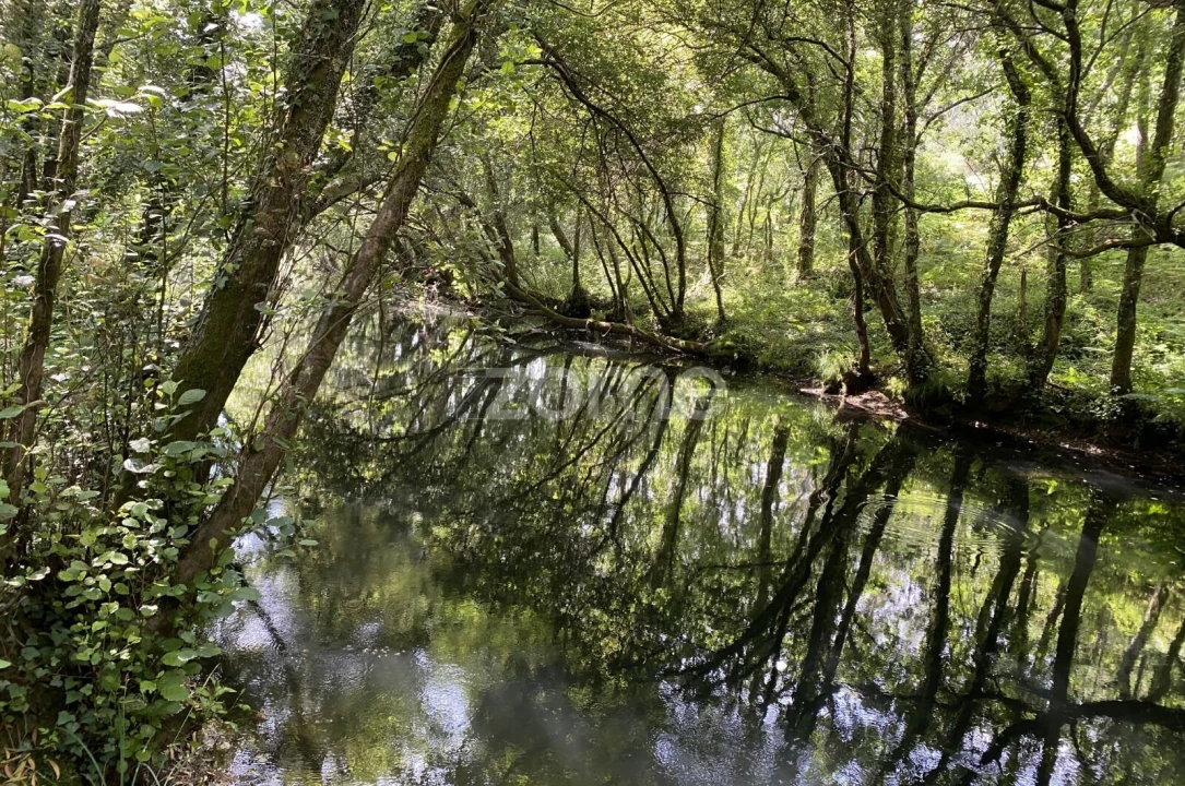 Terreno para Venda em Forjães Foto 1