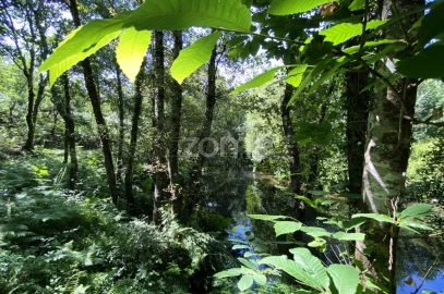Terreno para Venda em Forjães