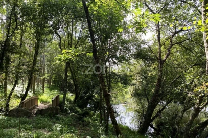 Terreno para Venda em Forjães