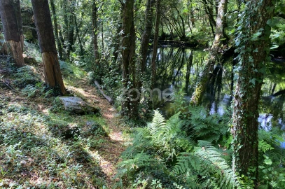 Terreno para Venda em Forjães
