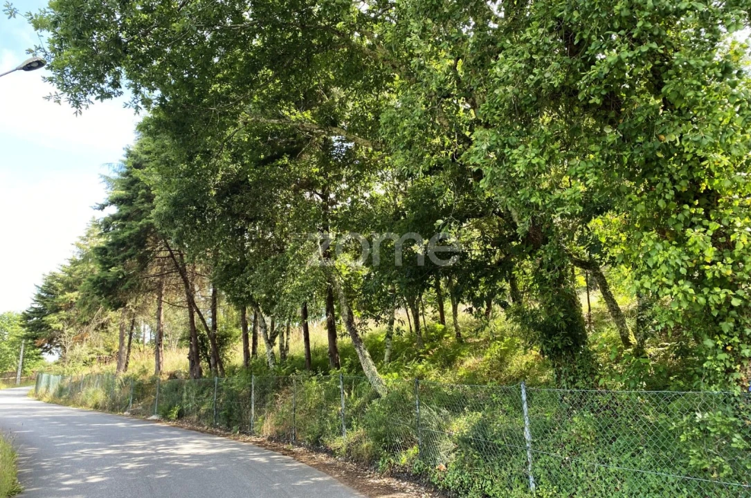 Terreno para Venda em Forjães Foto 12