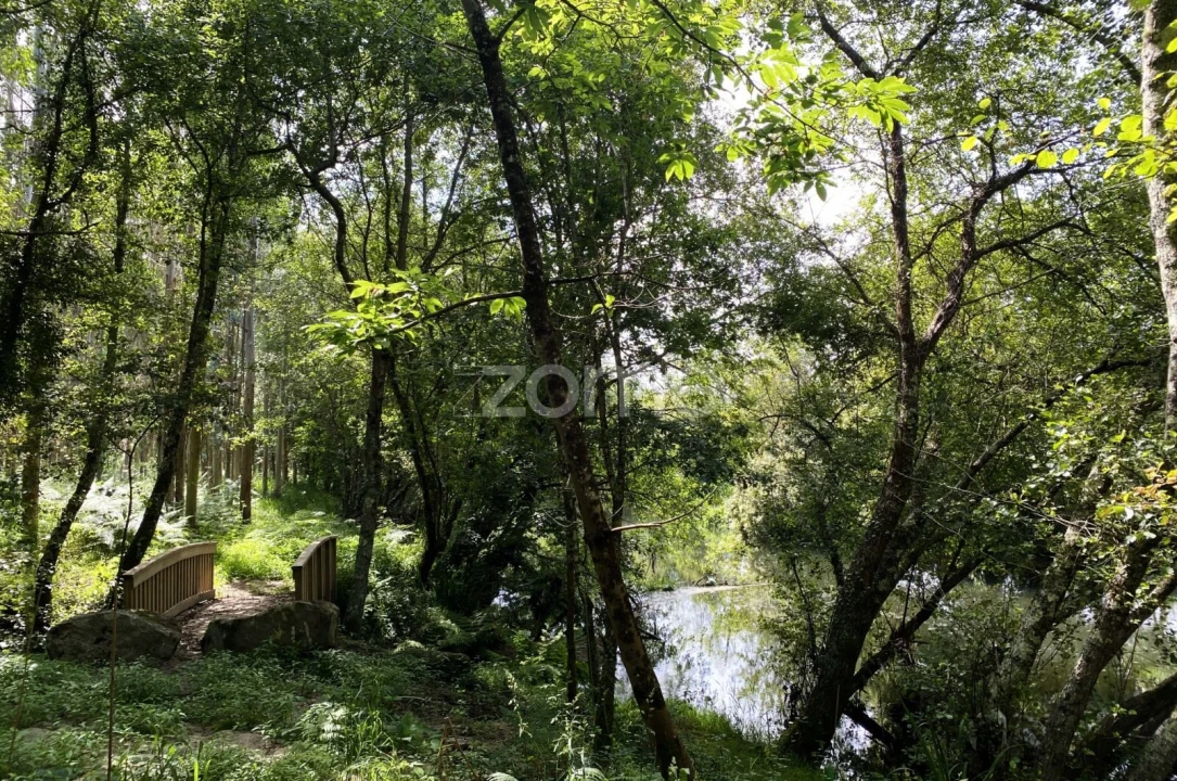 Terreno para Venda em Forjães Foto 9