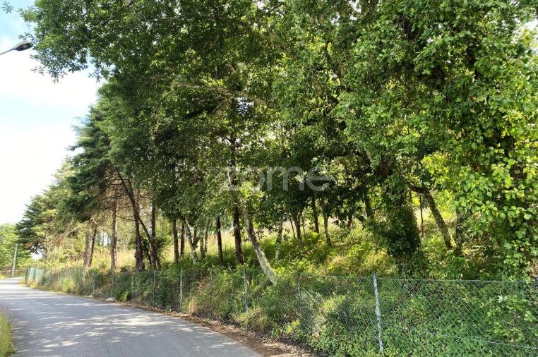 Terreno para Venda em Forjães Foto 12