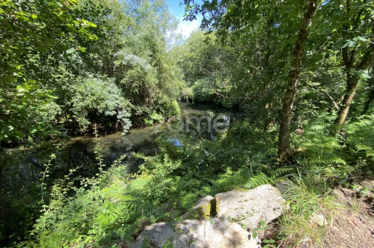 Terreno para Venda em Forjães Foto 11