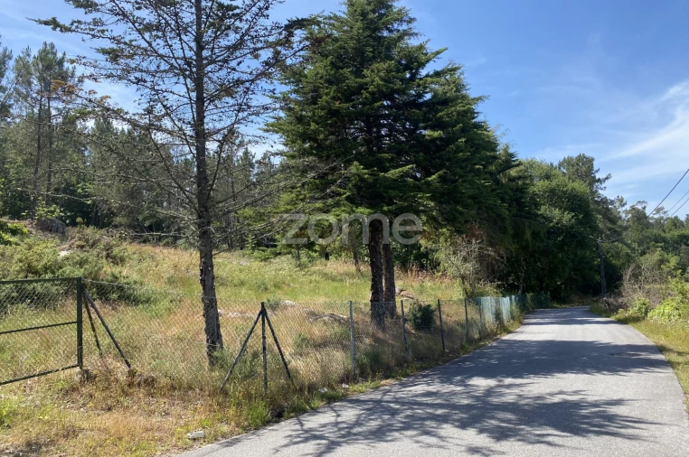Terreno para Venda em Forjães Foto 4