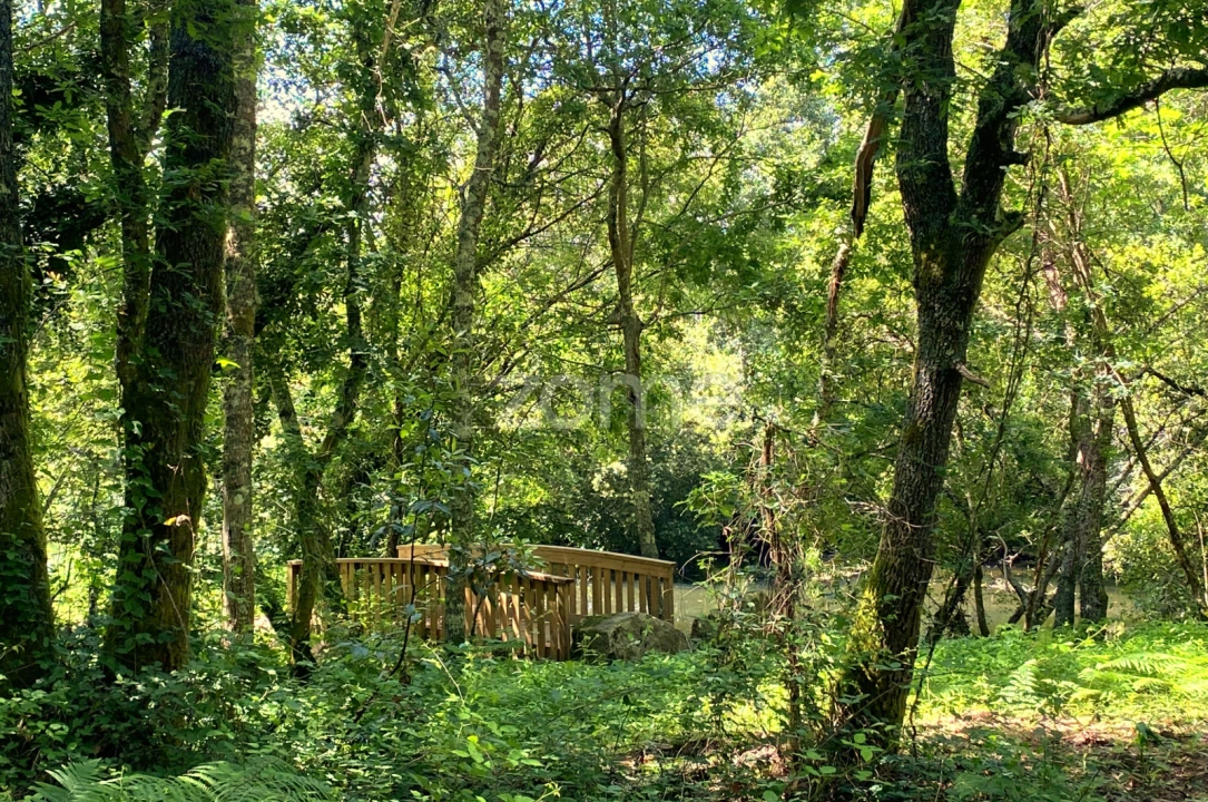 Terreno para Venda em Forjães Foto 5