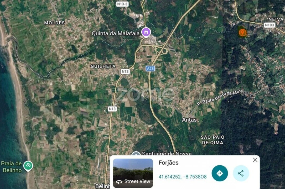 Terreno para Venda em Forjães Foto 14
