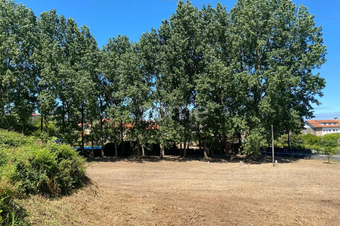 Terreno para Venda em Antas Foto 10