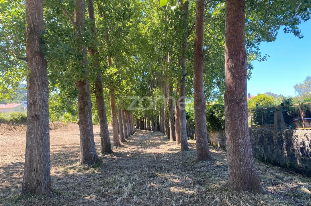 Terreno para Venda em Antas Foto 1