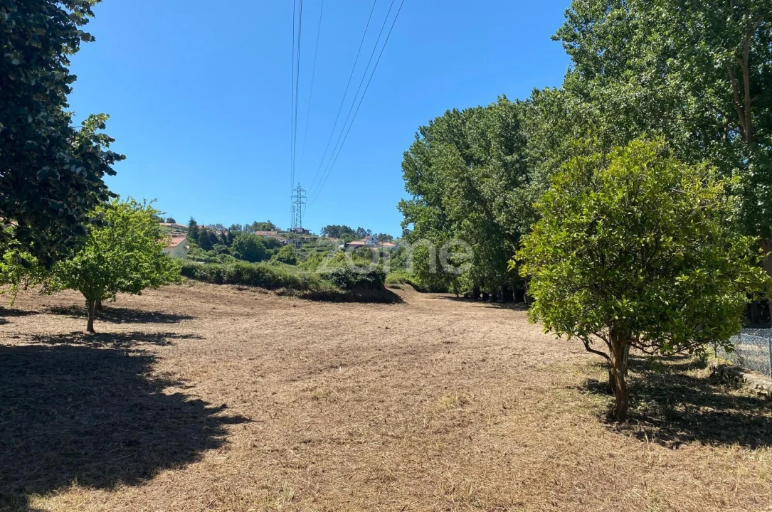 Terreno para Venda em Antas Foto 4