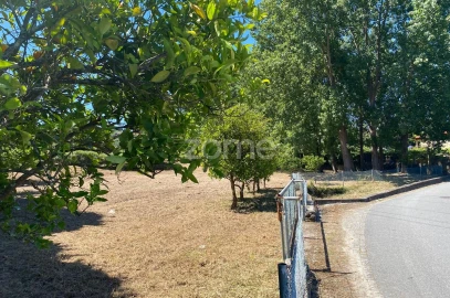 Terreno para Venda em Antas