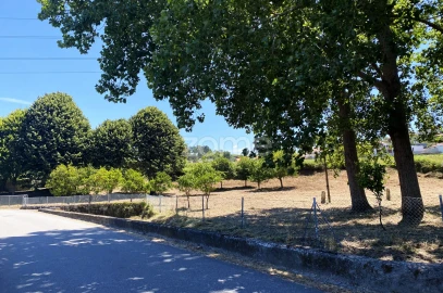 Terreno para Venda em Antas