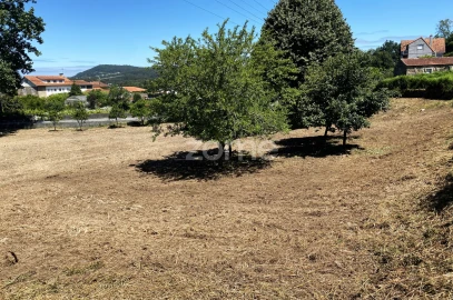 Terreno para Venda em Antas