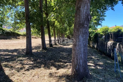 Terreno para Venda em Antas
