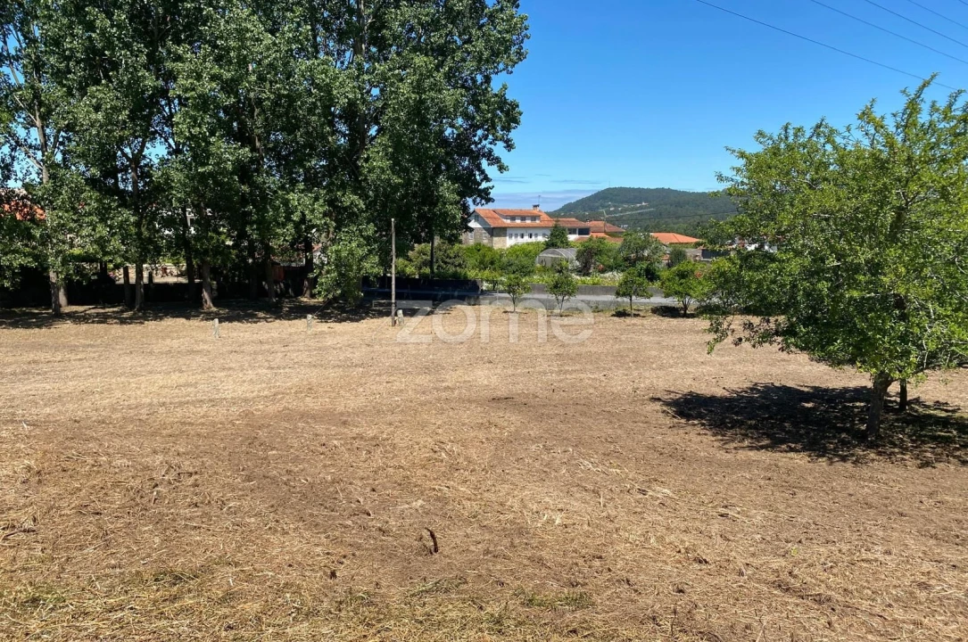 Terreno para Venda em Antas Foto 11