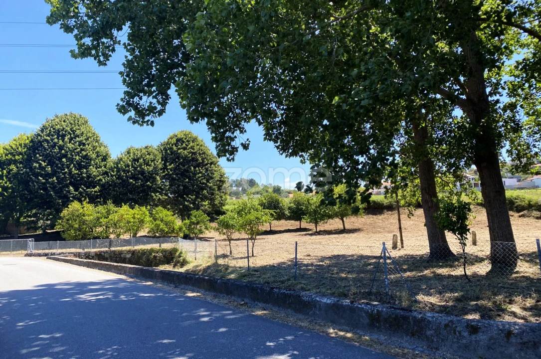 Terreno para Venda em Antas Foto 3